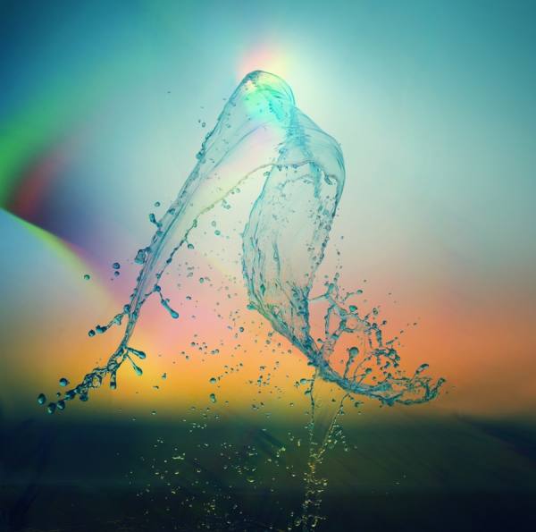 Photograph Jonathan Knowles Cicada_hit_my_ego on One Eyeland